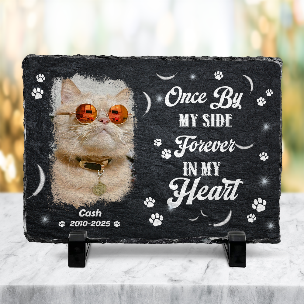 You Were My Favorite Hello Custom Dog Cat in Heaven Photo Rectangle Shaped Stone With Stand Memorial Gift CH07 895482