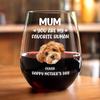 Custom Face Dog Cat - Mom, You’re My Favorite Human Wine Glass HA75 892944