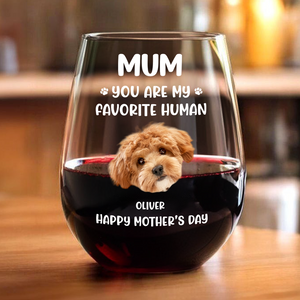 Custom Funny Face Dog Cat - Mom, You’re My Favorite Human Wine Glass HA75 892182