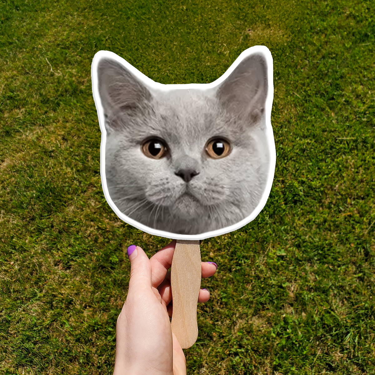 Custom Photo Funny Cat - Big Head Photo Face Fan HA75 892020