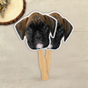 Custom Photo Funny Dog - Big Head Photo Face Fan HA75 892018