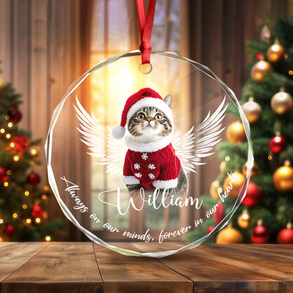 Custom Photo Not A Day Goes By Memorial Cat Glass Ornament HA75 897252