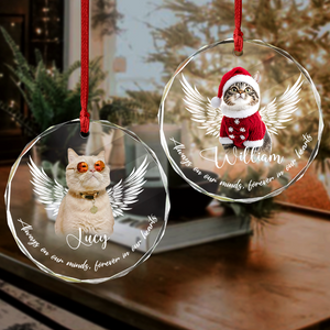 Custom Photo Not A Day Goes By Memorial Cat Glass Ornament HA75 897252
