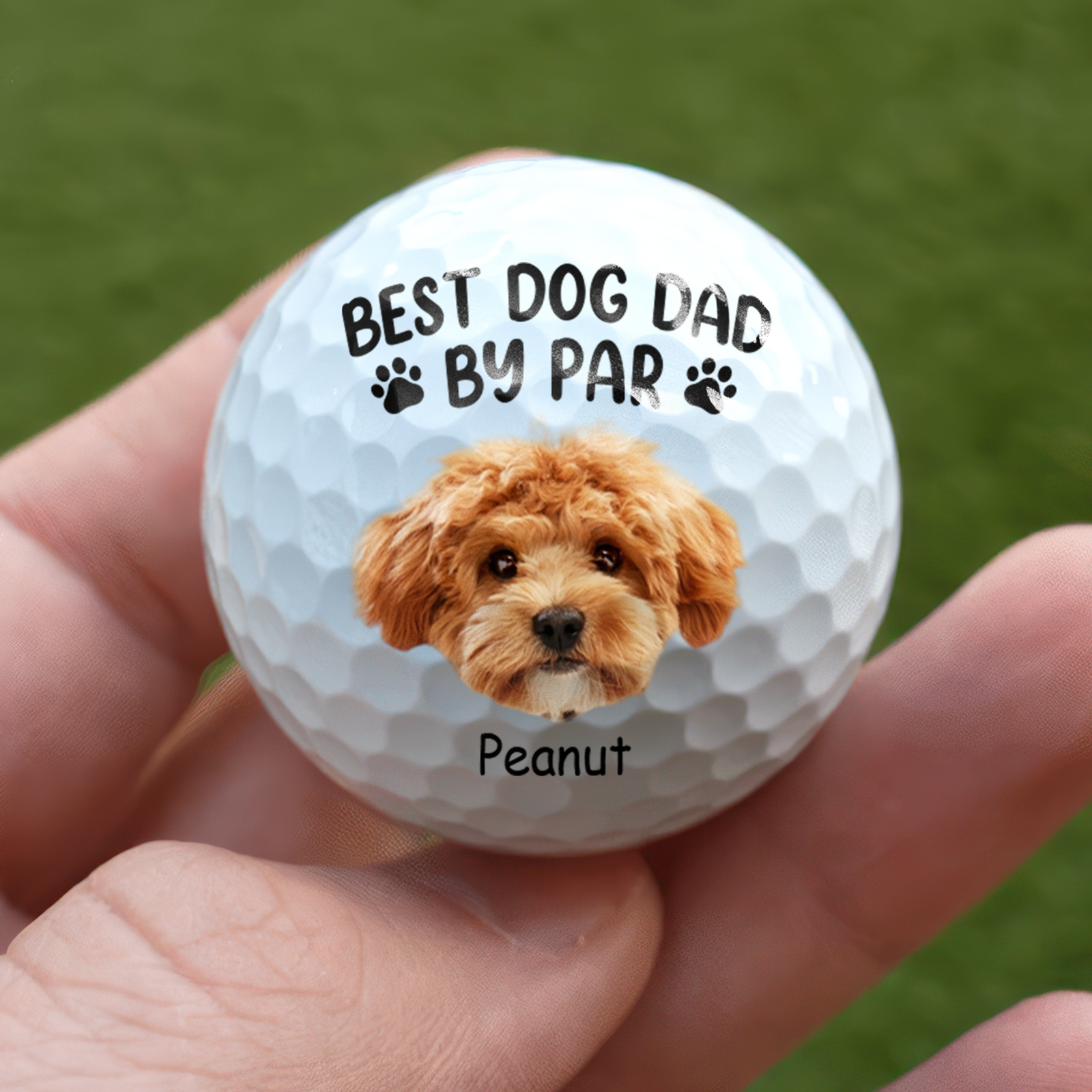 Custom Cute Pet Face Best Dog Dad By Par Golf Ball LM32 893473