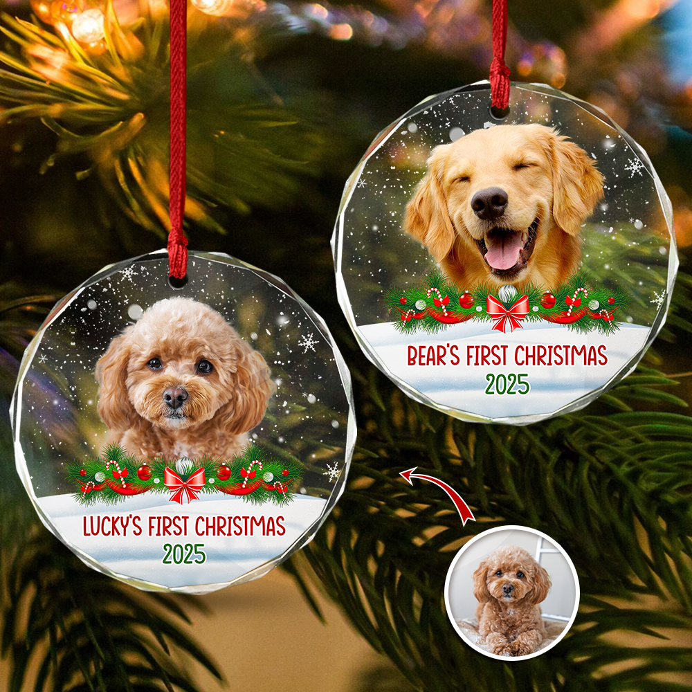 Custom Photo Dog First Christmas Glass Ornament HA75 897258