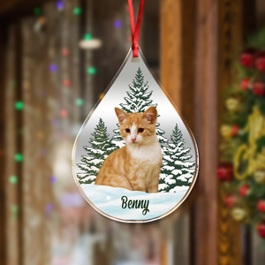 Custom Dog Cat Photo Christmas Acrylic Ornament TH10 896113