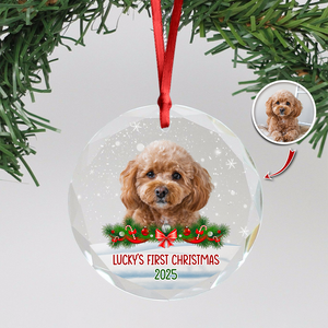 Custom Photo Dog First Christmas Glass Ornament HA75 897258