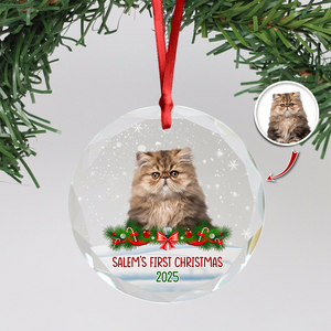 Custom Photo Cat First Christmas Glass Ornament HA75 897260
