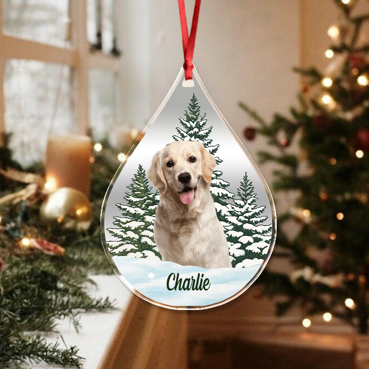 Custom Dog Cat Photo Christmas Acrylic Ornament TH10 896113