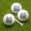 USA Eagles 250th Anniversary Semiquincentennial 1776-2026 Golf Ball TH10 169117