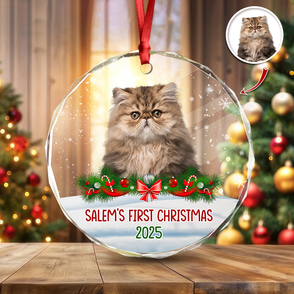 Custom Photo Cat First Christmas Glass Ornament HA75 897260