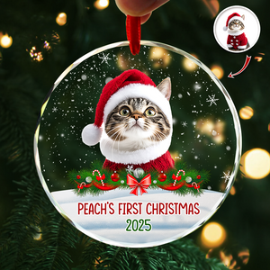 Custom Photo Cat First Christmas Glass Ornament HA75 897260