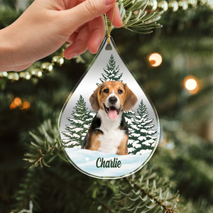 Custom Dog Cat Photo Christmas Acrylic Ornament TH10 896113