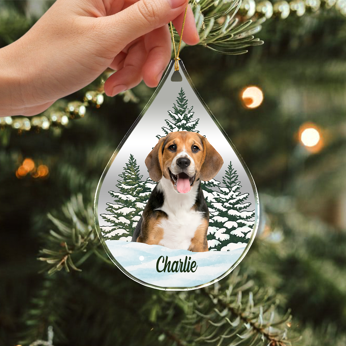 Custom Dog Cat Photo Christmas Acrylic Ornament TH10 896113