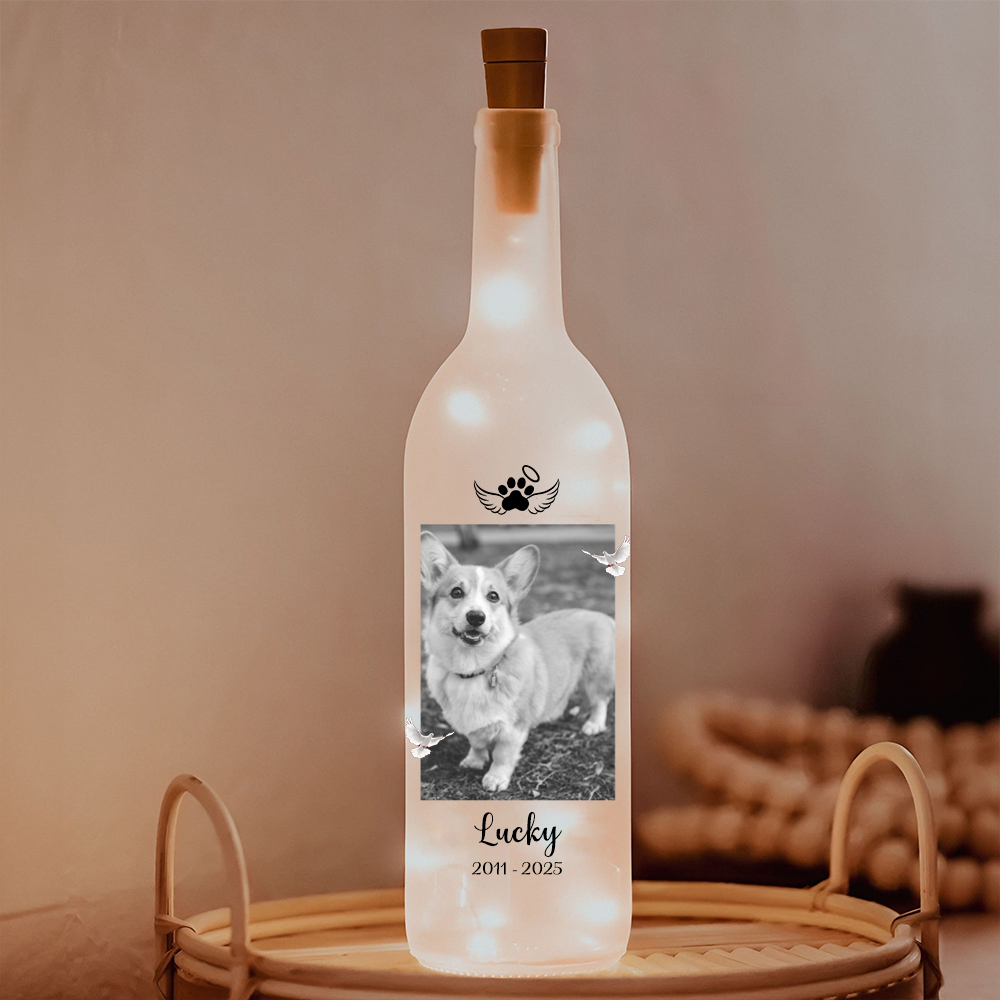 Custom Photo When You See Me In Your Dream Dog Memorial Bottle Lamp LM32 893163