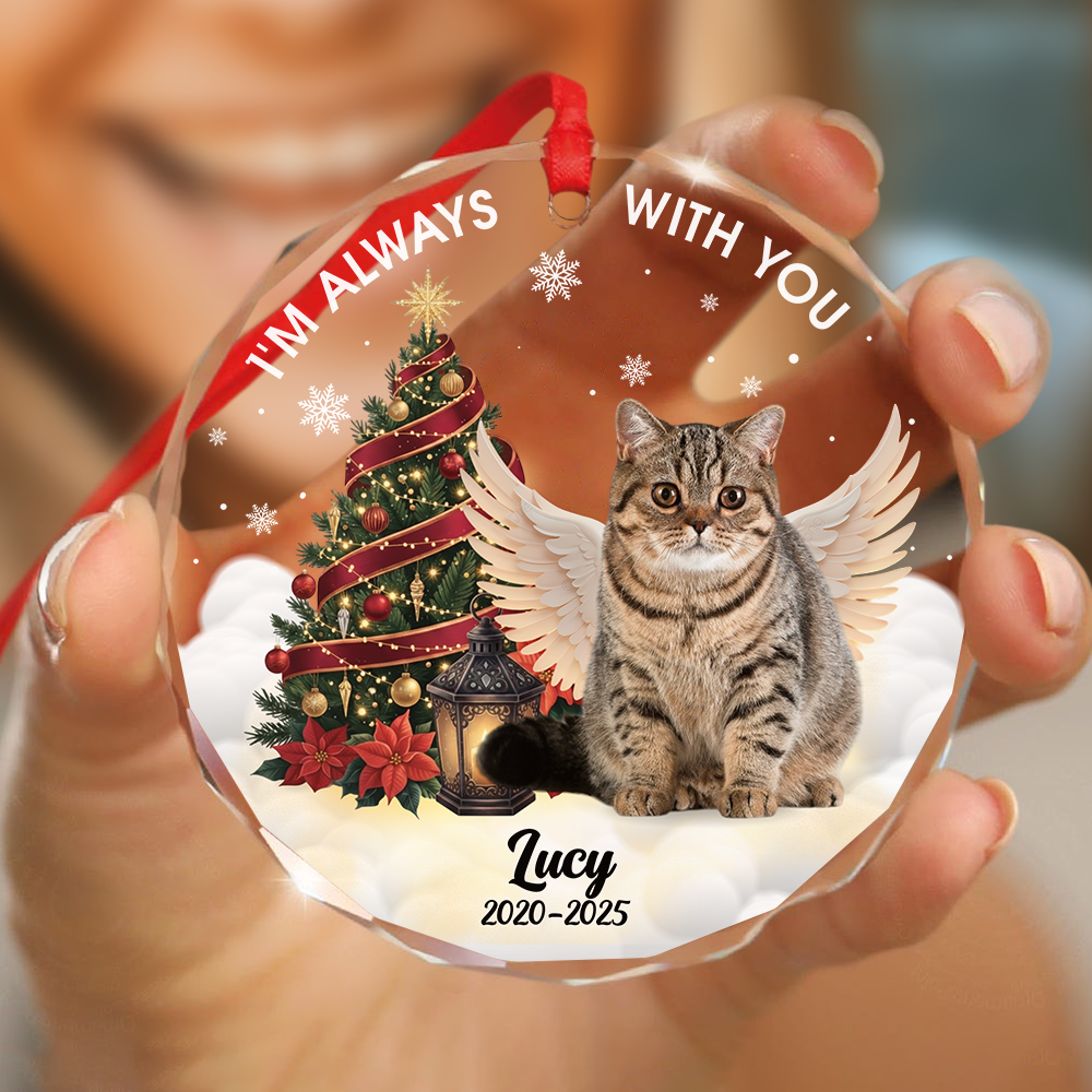 Custom Photo I Am Always With You Memorial Cat Glass Ornament HA75 897266
