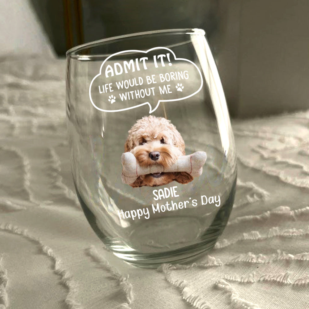 Custom Photo Admit it! Life Would Be Boring Without Me Dog Cat Wine Glass HA75 892250