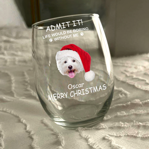 Custom Photo Life Would Be Boring Without Me Dog Cat Stemless Wine Glass TH10 894311
