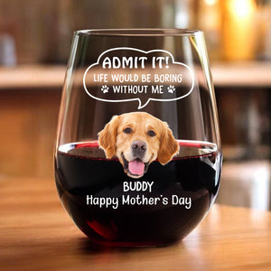 Custom Photo Admit it! Life Would Be Boring Without Me Dog Cat Wine Glass HA75 892250