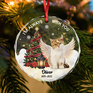 Custom Photo I Am Always With You Memorial Cat Glass Ornament HA75 897266