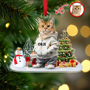 Custom Photo Cat Christmas Acrylic Ornament For Christmas HA75 897608
