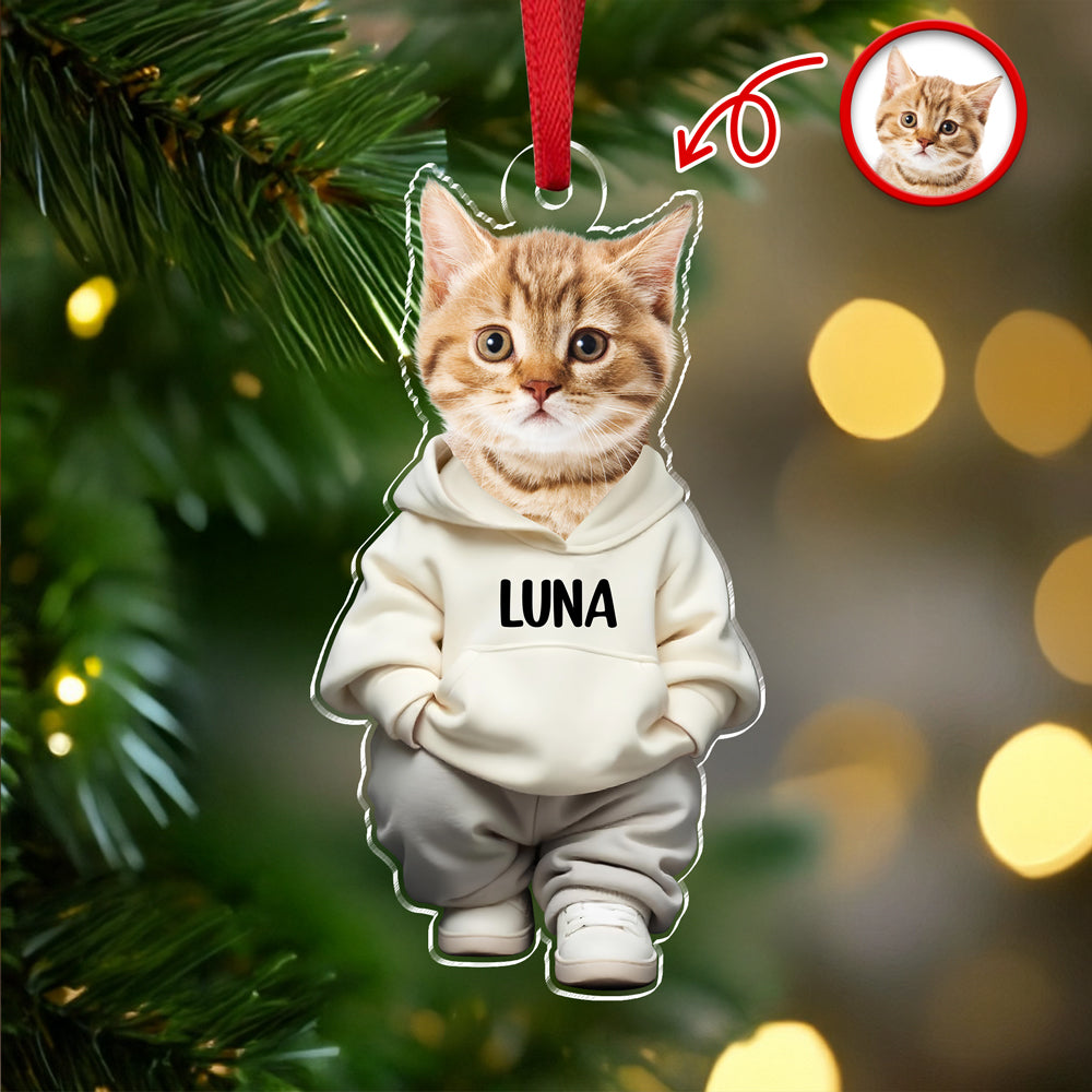 Custom Photo Cool Dog Cat Acrylic Ornament Gift For Dog Cat Lovers HA75 897146