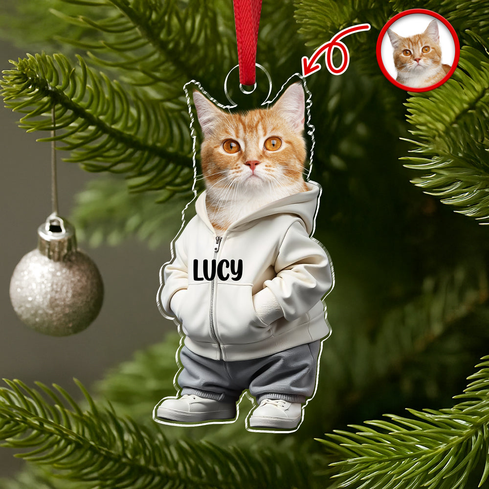 Custom Photo Cool Dog Cat Acrylic Ornament Gift For Dog Cat Lovers HA75 897146