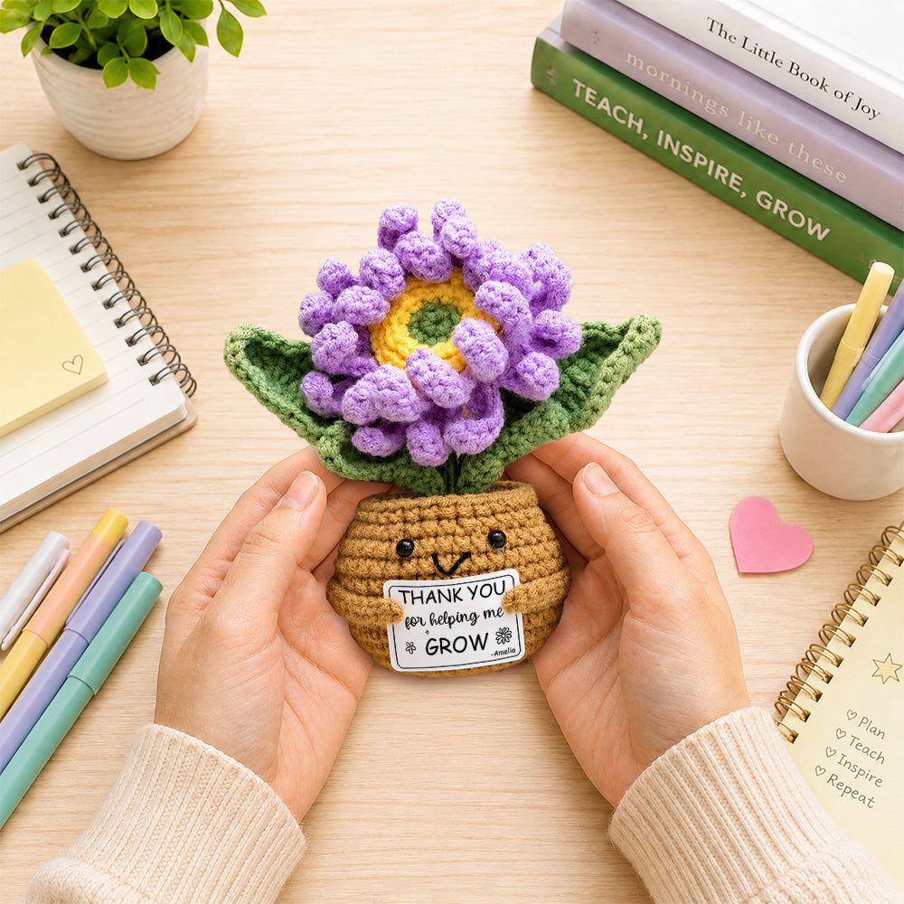 Personalized Crochet Plant Thank You Gift For Teacher, Mom,Teacher Appreciation Gift CH07 911992