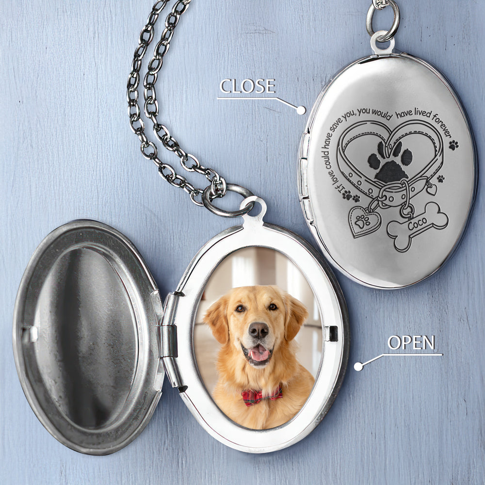 Custom Pet Photo A Big Piece Of My Heart Live In Heaven Memorial Locket Necklace LM32 893325
