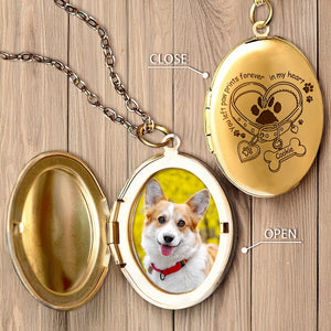 Custom Pet Photo A Big Piece Of My Heart Live In Heaven Memorial Locket Necklace LM32 893325
