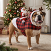 Christmas Dog Costume, Santa Claus Dog Outfit, Christmas Pet Costume, Holiday Dog Gift HA75 919106
