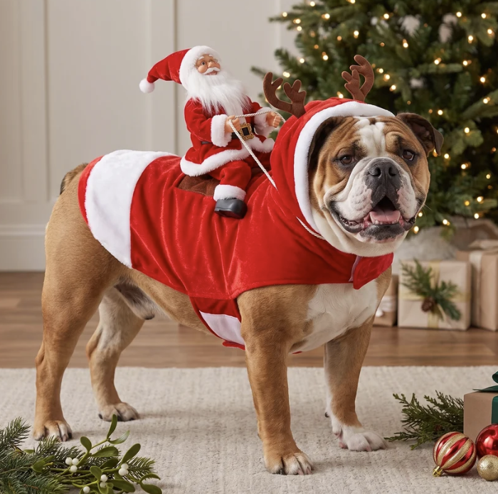 Christmas Dog Costume, Santa Claus Dog Outfit, Christmas Pet Costume, Holiday Dog Gift HA75 919106