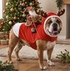 Christmas Dog Costume, Santa Claus Dog Outfit, Christmas Pet Costume, Holiday Dog Gift HA75 919106