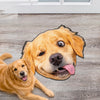 Custom Funny Face Dog Cat Doormat Custom Shape CH07 180204