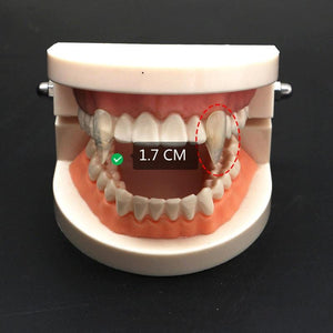 GeckoCustom 1 Pair Vampire Teeth Fangs Dentures Props Halloween Costume Props False Teeth Solid Glue Denture Adhesive Halloween Party Decor 1.7cm no glue