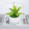 GeckoCustom Artificial Plants Bonsai Small Tree Pot Fake Plant Flowers Potted Ornaments For Home Room Table Decoration Hotel Garden Decor T13