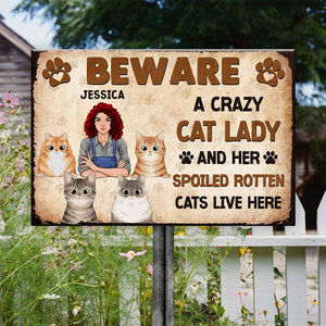 GeckoCustom Beware A Crazy Dog & Cat Lady For Pet Lovers Metal Sign Personalized Gift HO82 893000