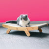 GeckoCustom Cat Scratch Board Bed