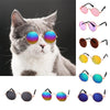 GeckoCustom Cool Funny The Kitten Sunglasses