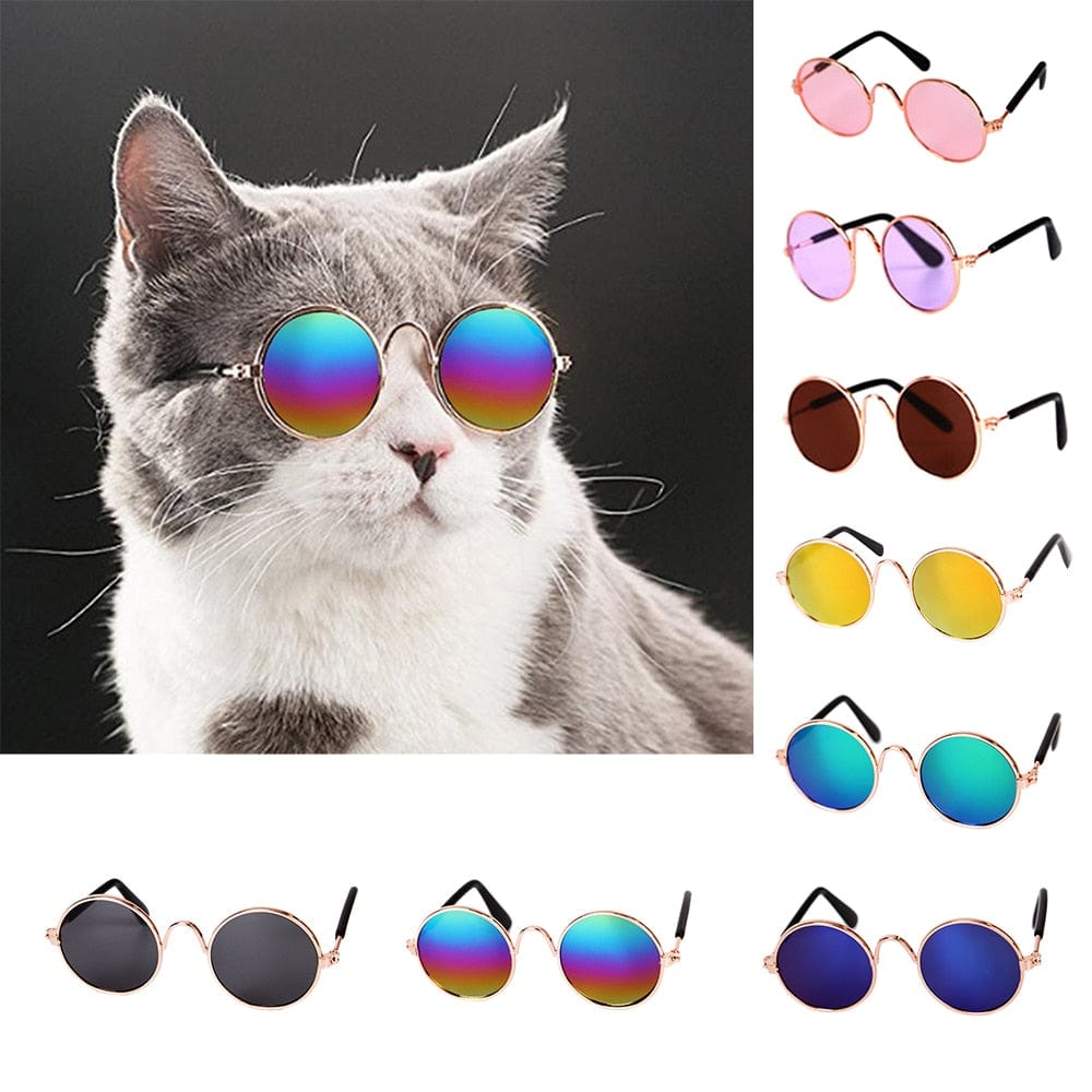 GeckoCustom Cool Funny The Kitten Sunglasses