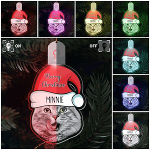 GeckoCustom Custom Cat Face Photo With Santa Hat Christmas Acrylic LED Ornament TH10 892147 3 inches