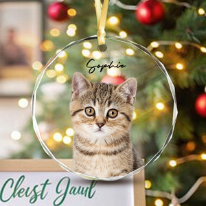 GeckoCustom Custom Cat Photo Christmas Glass Circle Ornament HO82 893052