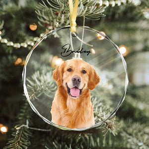 GeckoCustom Custom Dog Photo Christmas Glass Circle Ornament HO82 893036