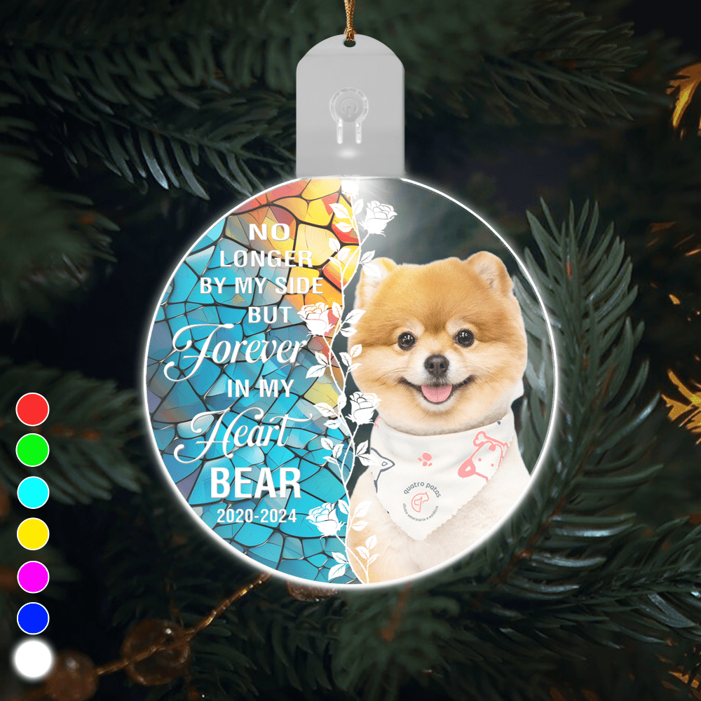 GeckoCustom Custom Dog Photo Forever In My Heart Circle Led Acrylic Ornament HO82 893264 3 inches