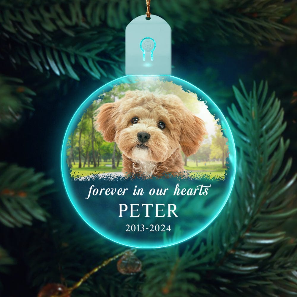 GeckoCustom Custom Dog Photo Forever in Our Heart Memorial Circle Led Acrylic Ornament HO82 893216 3 inches