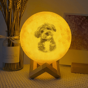 GeckoCustom Custom Dog Photo I Love You To The Moon And Back Memorial Moon Lamp TH10 892419