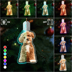 GeckoCustom Custom Dog Photo Led Acrylic Ornament N304 HA75 891680 3 inches