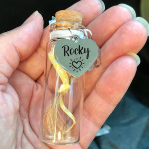 GeckoCustom Custom Name Pet Fur Memorial Jar Personalized Gift HA75 890614