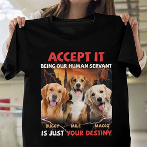 GeckoCustom Custom Photo Accept It Being Our Human Servant Is Just Your Destiny Shirt HO82 891248