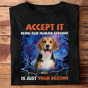 GeckoCustom Custom Photo Accept It Being Our Human Servant Is Just Your Destiny Shirt HO82 891248